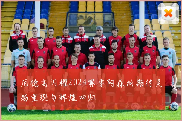 厄德高闪耀2024赛季阿森纳期待灵感重现与辉煌回归